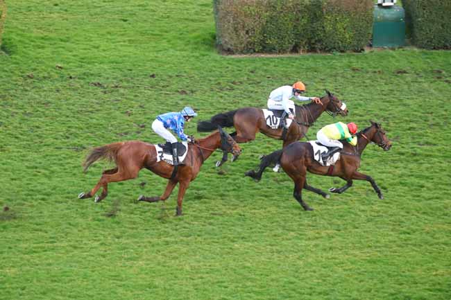 Photo d'arrivée de la course pmu PRIX COUSIN PONS à AUTEUIL le Lundi 24 février 2025