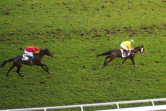 Photo d'arrivée de la course pmu PRIX UNIVERS II à AUTEUIL le Lundi 24 février 2025