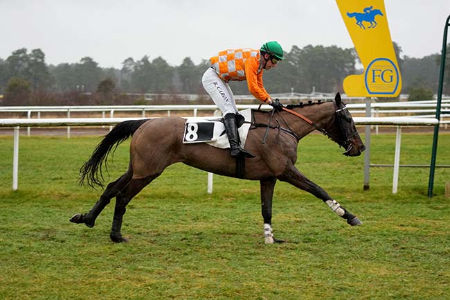 Photo d'arrivée de la course pmu PRIX DU MONT CHAUVET à FONTAINEBLEAU le Mardi 25 février 2025