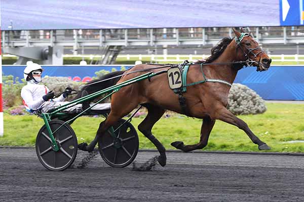 Arrivée quinté pmu PRIX DE SEDAN à PARIS-VINCENNES