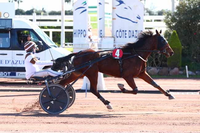 Photo d'arrivée de la course pmu PRIX D'AMMEVILLE à CAGNES-SUR-MER le Jeudi 27 février 2025