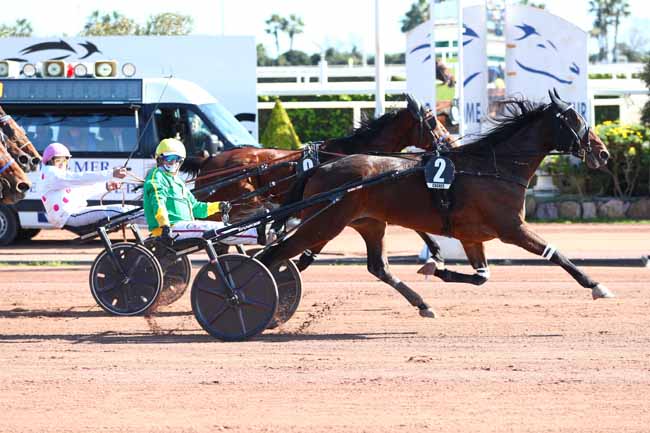 Arrivée quinté pmu PRIX ROGER LEDOYEN à CAGNES-SUR-MER