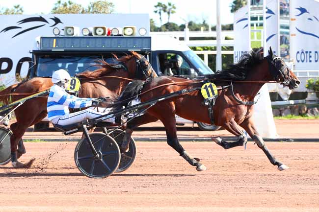 Photo d'arrivée de la course pmu PRIX D'ALASSIO à CAGNES-SUR-MER le Jeudi 27 février 2025