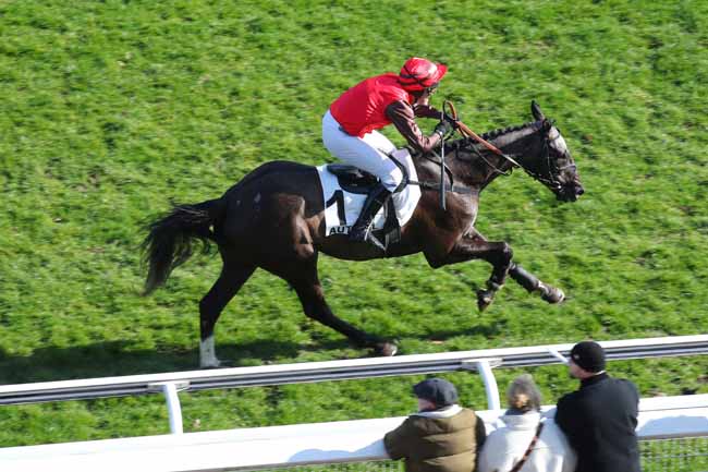 Photo d'arrivée de la course pmu PRIX VENTRILOQUE à AUTEUIL le Dimanche 2 mars 2025