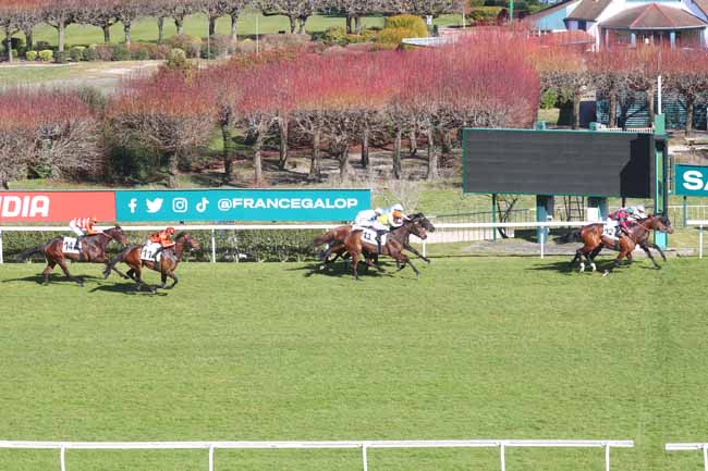 Arrivée quinté pmu PRIX DE LA GASCOGNE à SAINT CLOUD