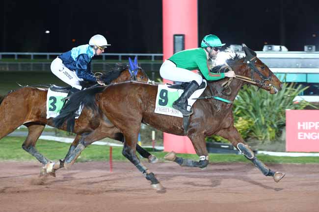 Photo d'arrivée de la course pmu PRIX DE TREMBLAY-EN-FRANCE à ENGHIEN le Vendredi 7 mars 2025