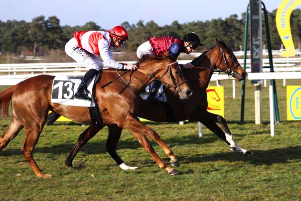 Photo d'arrivée de la course pmu PRIX DE BOIS-LE-ROI à FONTAINEBLEAU le Vendredi 7 mars 2025