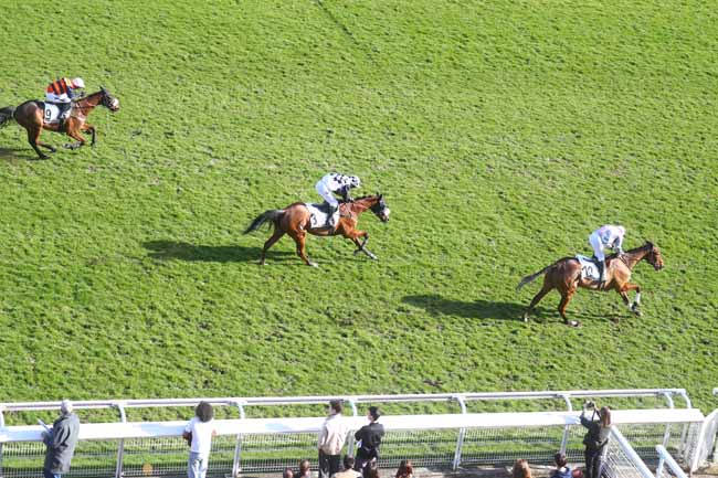 Arrivée quinté pmu PRIX PREDICATEUR à AUTEUIL