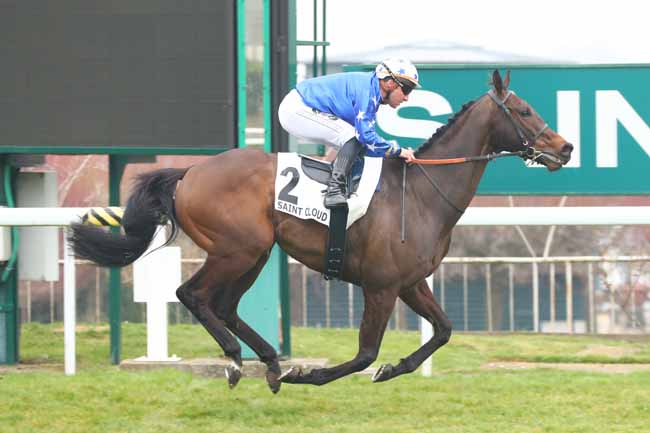 Arrivée quinté pmu PRIX TEDDY à SAINT CLOUD