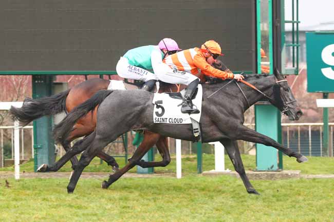 Photo d'arrivée de la course pmu PRIX GRIS PERLE à SAINT CLOUD le Mardi 11 mars 2025