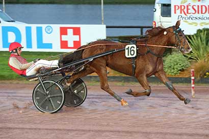 Photo d'arrivée de la course pmu PRIX MAYENNE TOURISME à LAVAL le Mercredi 12 mars 2025