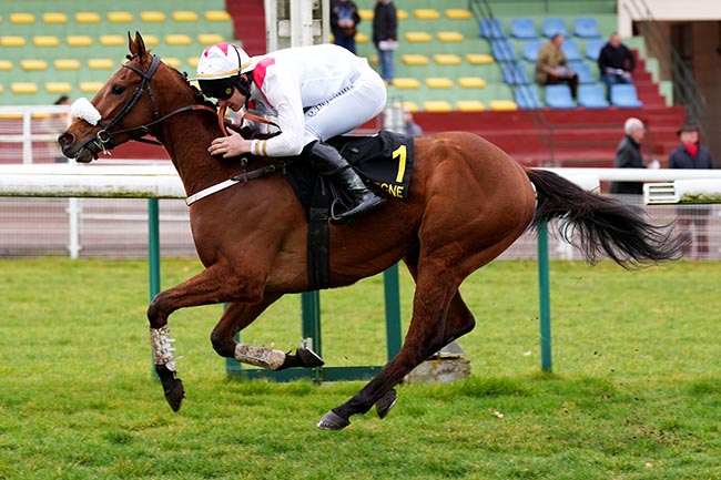 Photo d'arrivée de la course pmu PRIX DU CARREFOUR DE L'OBELISQUE à COMPIEGNE le Mercredi 12 mars 2025