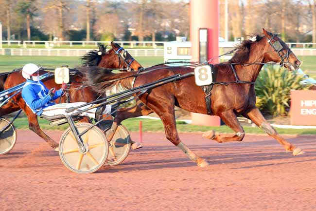 Photo d'arrivée de la course pmu PRIX DU BEAUJOLAIS à ENGHIEN le Vendredi 14 mars 2025