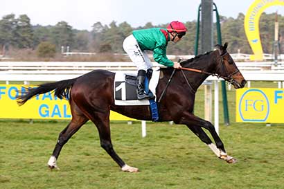 Photo d'arrivée de la course pmu PRIX DES FOUGERES à FONTAINEBLEAU le Vendredi 14 mars 2025