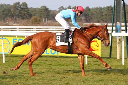 Photo d'arrivée de la course pmu PRIX DES AJONCS à FONTAINEBLEAU le Vendredi 14 mars 2025