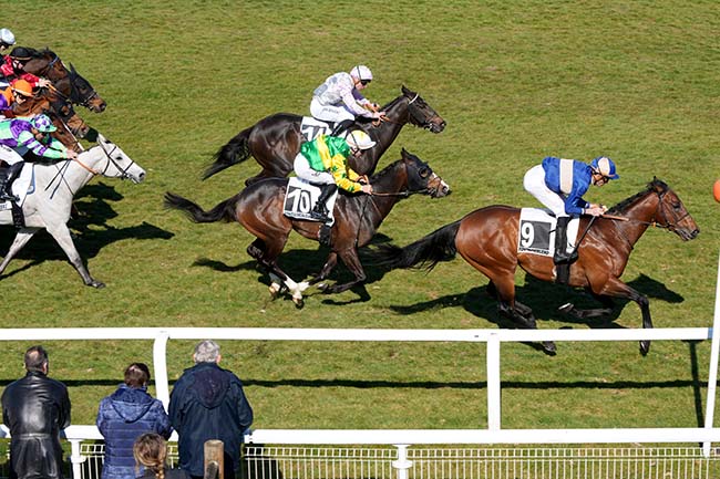 Arrivée quinté pmu PRIX HUBERT DE CATHEU à FONTAINEBLEAU