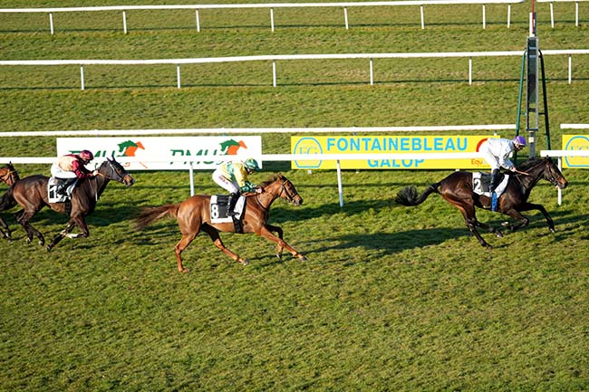 Photo d'arrivée de la course pmu PRIX DE VULAINES-SUR-SEINE à FONTAINEBLEAU le Mardi 18 mars 2025