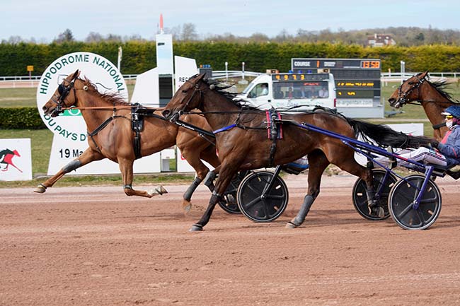 Arrivée quinté pmu PRIX TERRES D'ARGENTAN NORMANDIE à ARGENTAN
