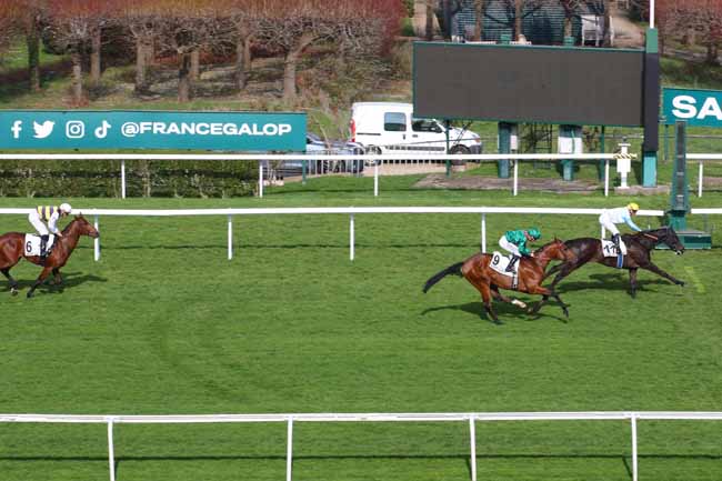 Photo d'arrivée de la course pmu PRIX GOODLY à SAINT CLOUD le Mardi 25 mars 2025