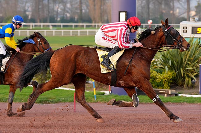 Photo d'arrivée de la course pmu PRIX DU PONT DE GRENELLE à ENGHIEN le Mardi 25 mars 2025