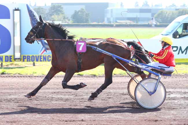 Photo d'arrivée de la course pmu PRIX TROPHEE PARIS TURF à SALON DE PROVENCE le Mercredi 26 mars 2025