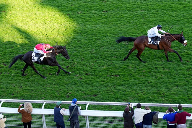 Photo d'arrivée de la course pmu PRIX ROSE LAUREL à AUTEUIL le Dimanche 30 mars 2025
