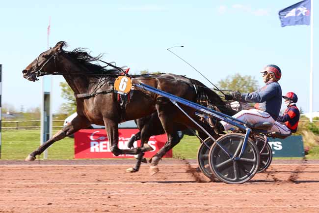 Photo d'arrivée de la course pmu PRIX 24H AU TROT - PRIX TENOR DE BAUNE à ANGERS le Mercredi 2 avril 2025