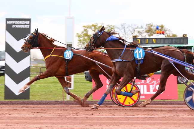 Photo d'arrivée de la course pmu PRIX TIMOKO à ANGERS le Mercredi 2 avril 2025