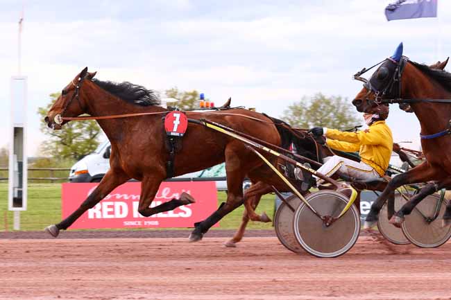 Photo d'arrivée de la course pmu PRIX ROXANE GRIFF à ANGERS le Mercredi 2 avril 2025