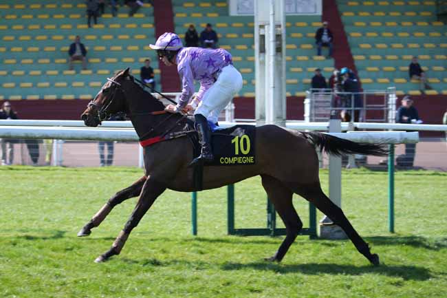 Photo d'arrivée de la course pmu PRIX D'ACHERES à COMPIEGNE le Mercredi 2 avril 2025