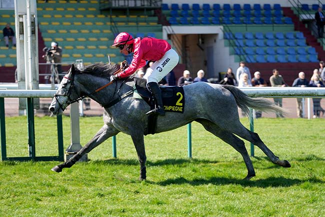 Photo d'arrivée de la course pmu PRIX LA NOUBA à COMPIEGNE le Lundi 7 avril 2025