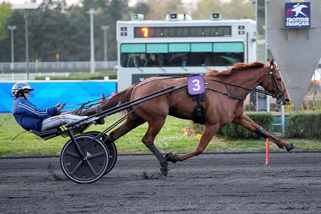 Photo d'arrivée de la course pmu PRIX PALMA à PARIS-VINCENNES le Mardi 8 avril 2025