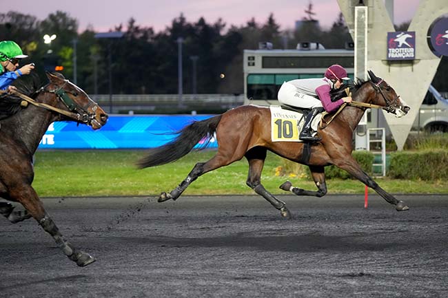 Photo d'arrivée de la course pmu PRIX ADRIA à PARIS-VINCENNES le Mardi 8 avril 2025