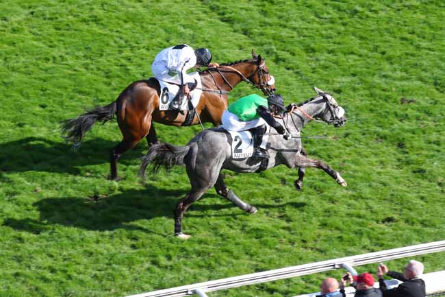Photo d'arrivée de la course pmu PRIX DES CHARENTES à AUTEUIL le Jeudi 10 avril 2025