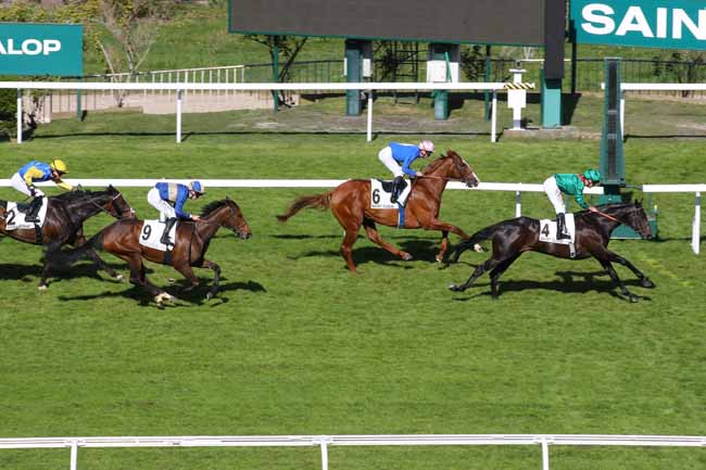 Photo d'arrivée de la course pmu PRIX MY LOVE à SAINT CLOUD le Vendredi 11 avril 2025