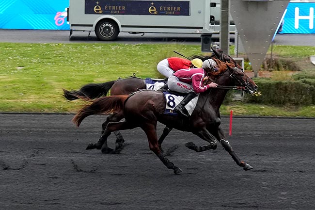 Photo d'arrivée de la course pmu PRIX GAI BRILLANT - ETRIER 3 ANS Q3 à PARIS-VINCENNES le Samedi 12 avril 2025