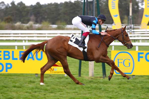 Photo d'arrivée de la course pmu PRIX DES HETRES à FONTAINEBLEAU le Samedi 12 avril 2025