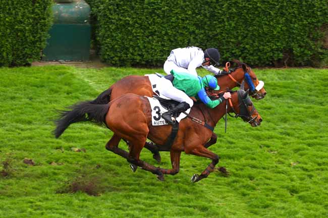 Photo d'arrivée de la course pmu PRIX ANDRE BOINGNERES à AUTEUIL le Mardi 15 avril 2025