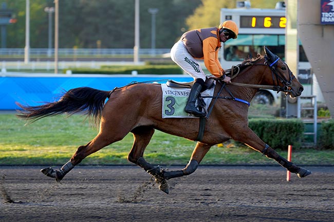 Photo d'arrivée de la course pmu PRIX EUPHROSYNE à PARIS-VINCENNES le Mardi 15 avril 2025