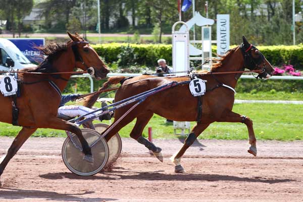 Photo d'arrivée de la course pmu PRIX DE LA SOCIETE DU TROTTEUR FRANCAIS à PONTCHATEAU le Mercredi 16 avril 2025