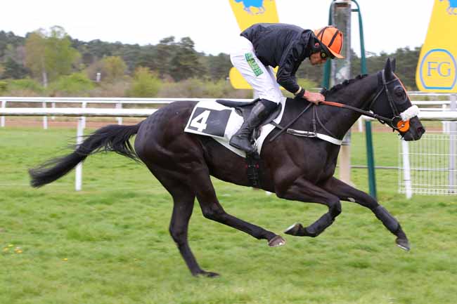 Photo d'arrivée de la course pmu PRIX CABARET MASSON à FONTAINEBLEAU le Mercredi 16 avril 2025