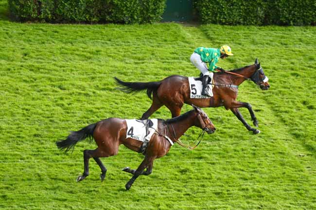 Photo d'arrivée de la course pmu PRIX JEAN STERN à AUTEUIL le Dimanche 20 avril 2025
