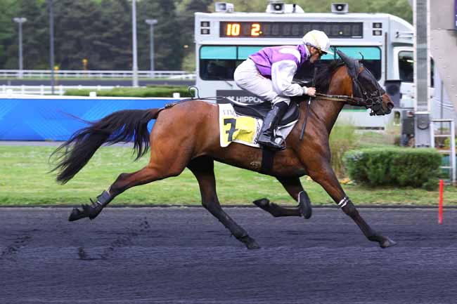 Photo d'arrivée de la course pmu PRIX HAVNIA à PARIS-VINCENNES le Mardi 22 avril 2025