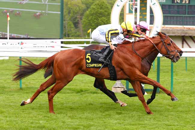 Photo d'arrivée de la course pmu PRIX DU LAONNOIS à COMPIEGNE le Vendredi 25 avril 2025