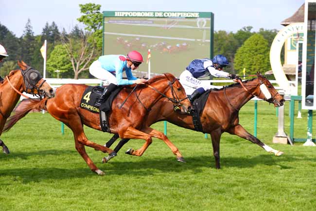 Photo d'arrivée de la course pmu PRIX DU CARREFOUR DU ROND CAPITAINE à COMPIEGNE le Vendredi 25 avril 2025