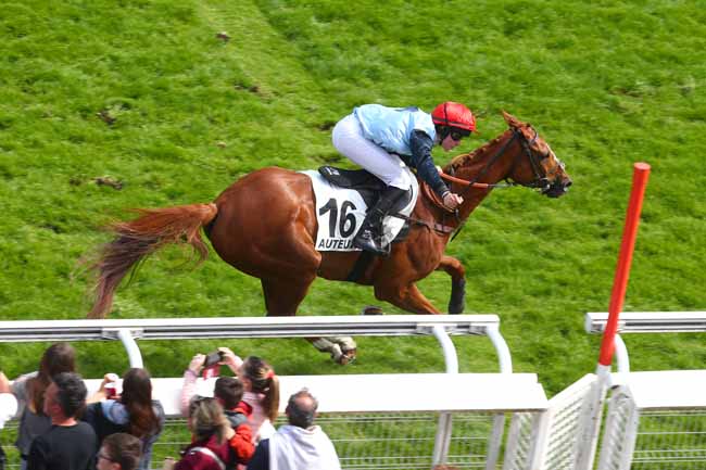 Photo d'arrivée de la course pmu GRANDE COURSE DE HAIES DE PRINTEMPS à AUTEUIL le Samedi 26 avril 2025