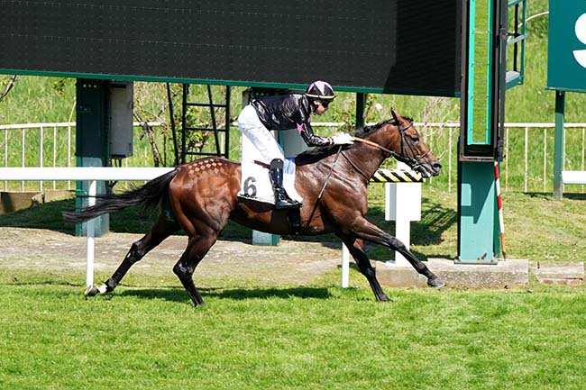 Photo d'arrivée de la course pmu PRIX PAUL-NOEL DELAHOUTRE - TROPHEE STUDIO HARCOURT à SAINT CLOUD le Jeudi 1 mai 2025