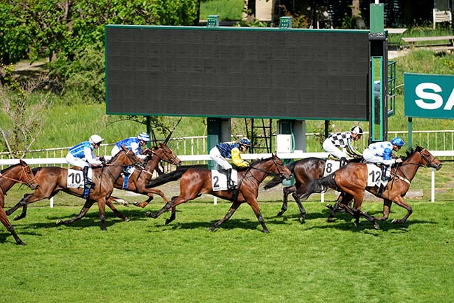 Photo d'arrivée de la course pmu PRIX ROYAL HAMPTON à SAINT CLOUD le Jeudi 1 mai 2025