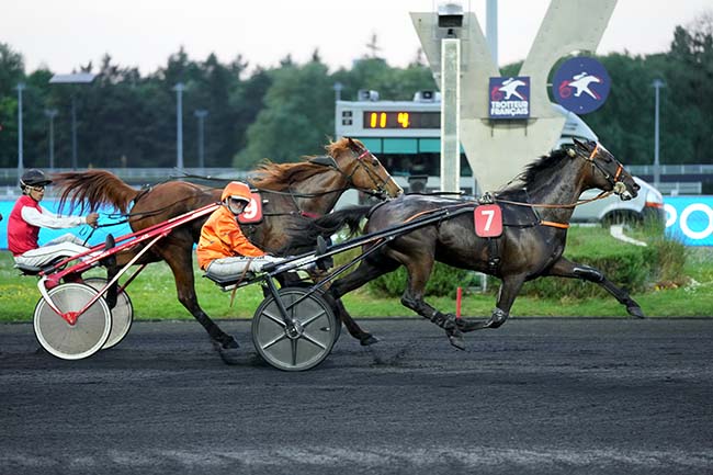 Photo d'arrivée de la course pmu PRIX CELUTA à PARIS-VINCENNES le Vendredi 2 mai 2025