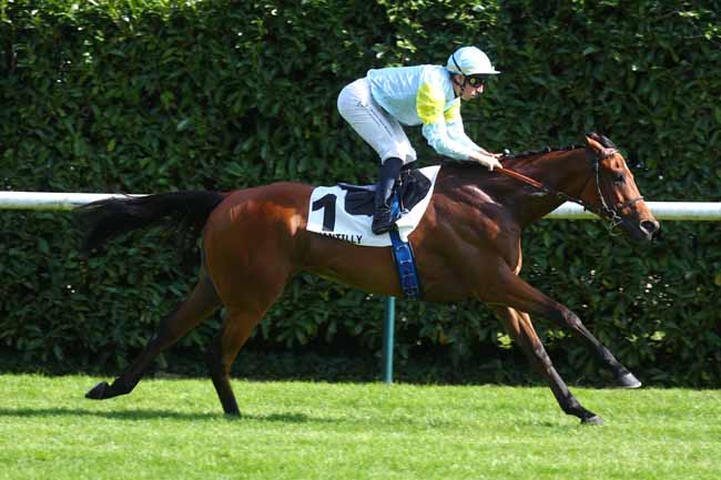 Photo d'arrivée de la course pmu PRIX SERVANNE à CHANTILLY le Vendredi 2 mai 2025